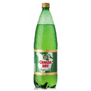 Ginger Ale 1.5