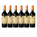 6 Casa Silva Gran Terroir Carmenere