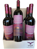 Pack Castillo Molina Red Blend