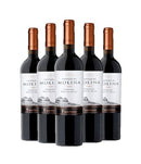 Pack Castillo Molina Carmenere