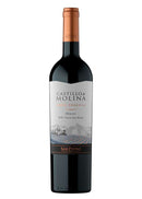 Castillo Molina Merlot