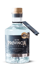 Gin Provincia Patagonia