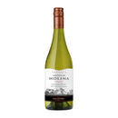 Castillo Molina Reserva Sauvignon Blanc